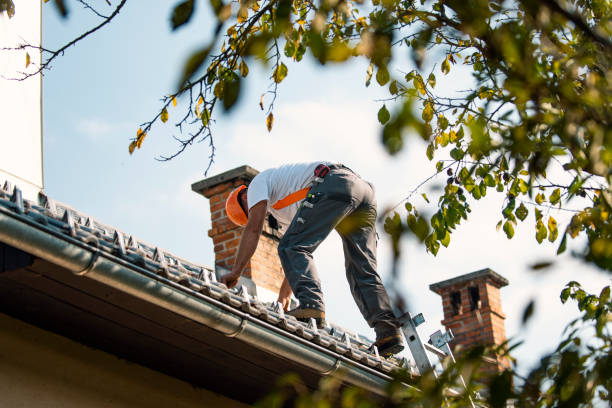 Best Metal Roofing Contractor  in Calhoun City, MS