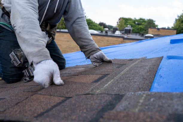 Best Roof Repair Specialists  in Calhoun City, MS