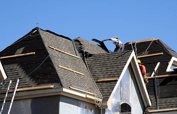 Best Gutter Installation and Roofing  in Calhoun City, MS