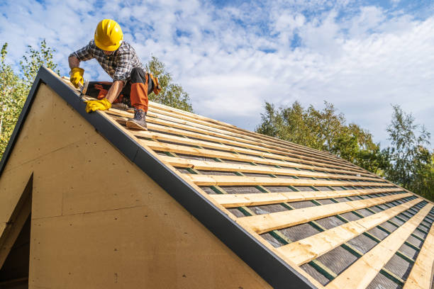 Best Roof Gutter Cleaning  in Calhoun City, MS