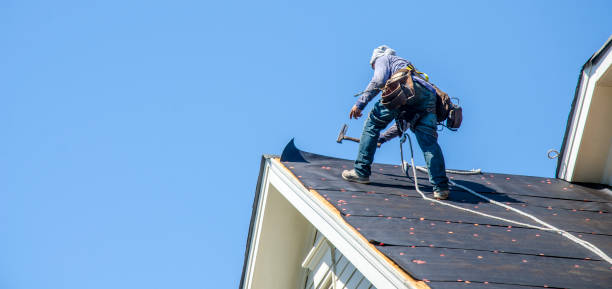 Roof Gutter Cleaning in Calhoun City, MS